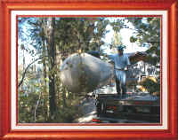 Setting Your New Tank