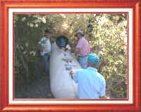 We Check Everything to Provide the Utmost in Safety